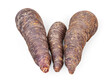 Three unpeeled root vegetables of black carrot or Scorzonera isolated on a white background. An unusual and healthy ingredient for nutrition and dieting