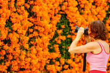 Woman Take Photo From Orange Flowers