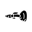 guppy fish glyph icon vector. guppy fish sign. isolated symbol illustration