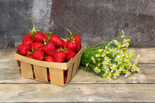Ripe Strawberries Among Chamomile Flowers, Strawberry Harvest