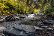 Die Rur - Fluss im Wald bei Monschau