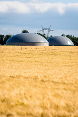 General view of a biogas plant with two digesters in a wheat field and an electricity pylon in the distance in the countryside.