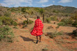 masai warrior walking through savannah in Masai Mara, Kenya