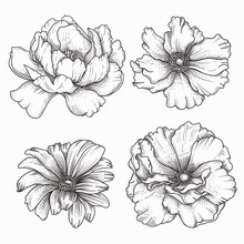 Hand Drawn Retro Flowers Design Set
