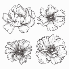 Sticker - hand drawn retro flowers design set
