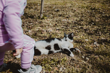 Poster - Closeup shot of a black and white cat laying on the ground looking at a kid next to it