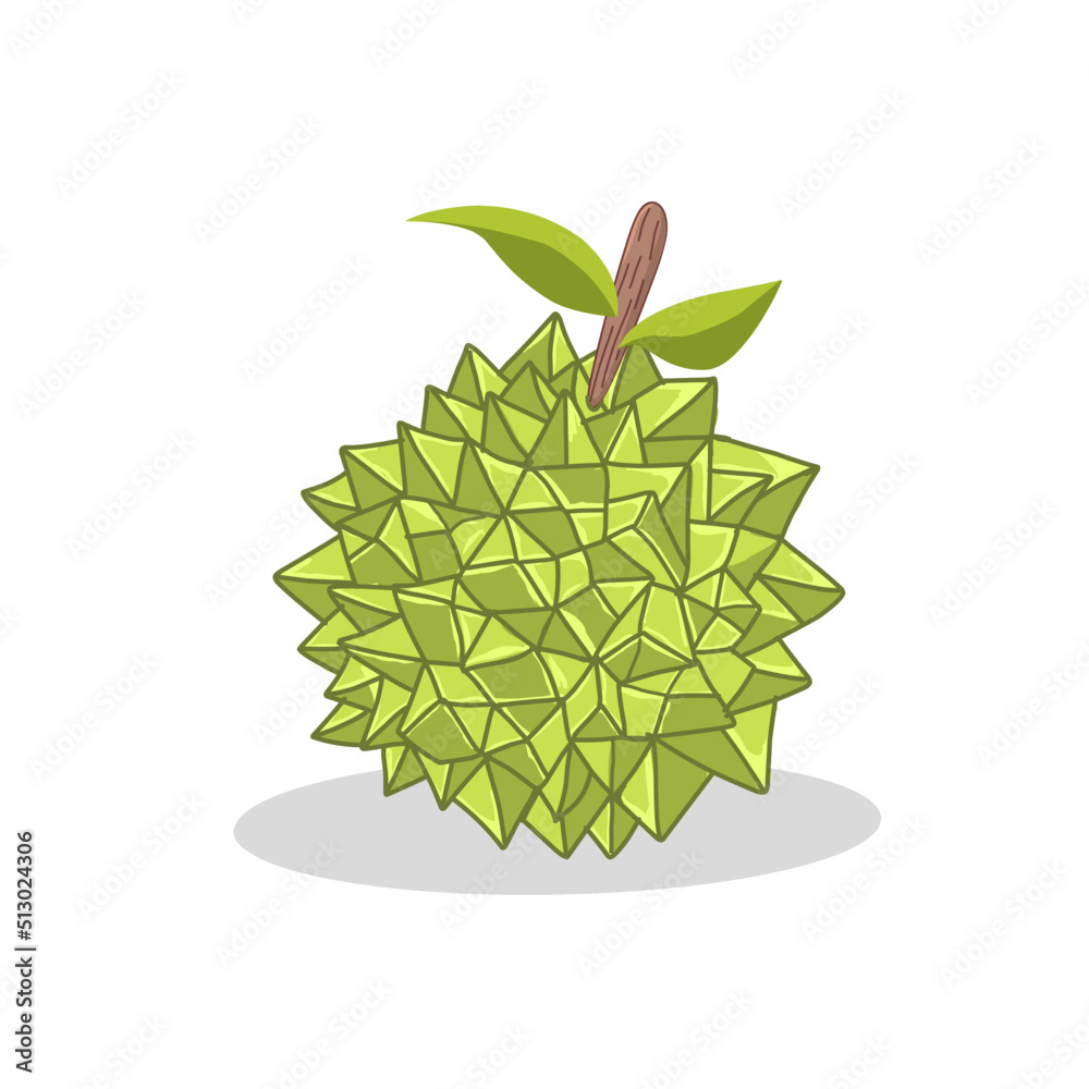 Durian fruit illustration image. Durian fruit icon .Fruits Stock Vector ...