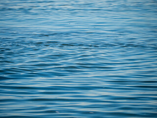 Wall Mural - Blue sea water background texture. Sea background. Selective focus on center of image. Blue Water Background