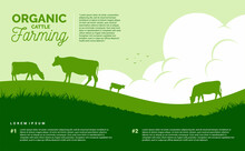 Organic Cattle Farming Vector Flat Background Agriculture Landscape. Vector Illustration