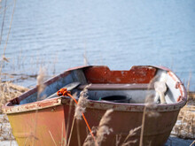 Closeup Of Small Fishing Boat Stands Lonely On The Shore Of The Lake