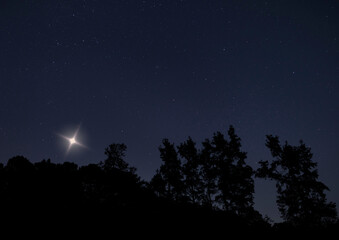 Wall Mural - Christmas star rising over a dark forest