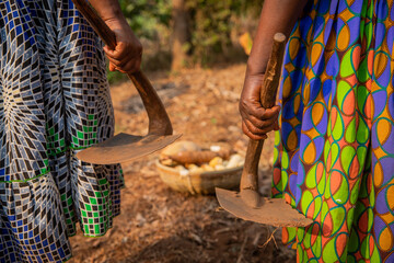 Close-up of the hands of two African women holding two hoes with a basket with the harvest of the fields, women and work in the fields concept