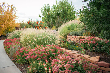 salmon garden
