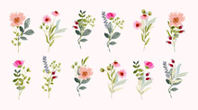 Beautiful Watercolor Floral Bouquet Collection