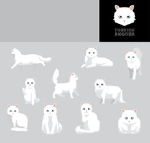 Cat Turkish Angora Cartoon Vector Illustration Color Variation Set