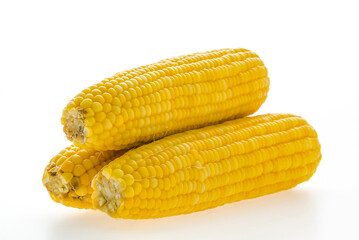 Corn isolated