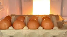 Hand Picked Up An Egg In Paper Shelf From  The Refrigerator With Warm Light