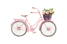 Pink Bike With A Basket Full Of Flowers. Watercolor Illustration Isolated On White Background.