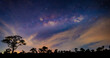 Milky Way in the dark night. selection focus.Panorama blue night sky milky way and star on dark background.