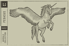Pegasus Vector Illustration - Hand Drawn - Out Line