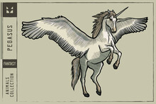 Pegasus Vector Illustration - Hand Drawn