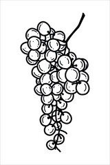 Wall Mural -  Grape icon - vector illustration on white