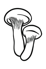 Wall Mural - Mushroom icon - Vector illustration - Hand drawn - Out line