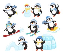 Penguin In Winter Activities. Little Cute Cartoon Penguins Characters Play Fun, Make Snowman, Skating And Skiing Vector Set