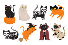 Halloween Cats. Black Kitten In Dracula Vampire Costume, Mummy Animal And Witch Cat. Ghost Pet, Scary Skeleton And Kitty On Pumpkin Vector Set