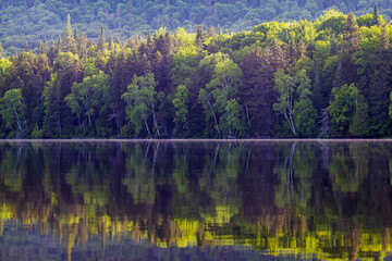 Wall Mural - Canadian summer landscape in Laurentian mountains, Quebec