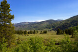 Fototapeta Krajobraz - View from scenic byway US 24 as it passes through San Isabel National Forest in Colorado