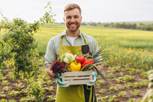 Happy Farmer Man Holding Basket With Fresh Vegetables In Garden, Gardening Concept