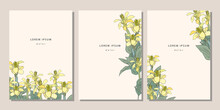 Set Of Templates With Yellow Canna Lily. Covers, Posters With Floral Pattern Elements