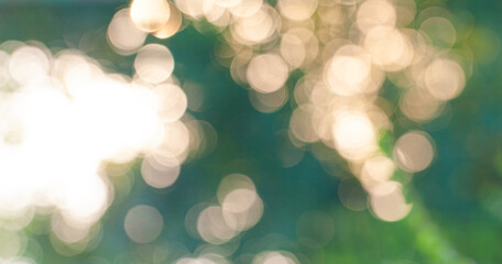 Wall Mural - Blur green tree leaves with bokeh background