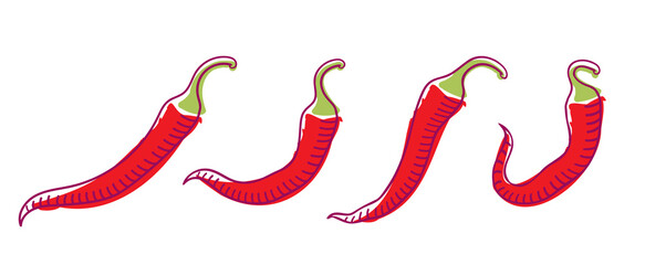 Vector set of chili peppers. Vegetable: spicy red chili peppers.