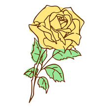 Contour Image Of A Yellow Rose On A White Background, Drawing, Color Graphics, Design