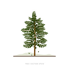 Wall Mural - Tree vector illustration with branches and leaves on white background