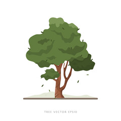 Wall Mural - Tree vector illustration on white background, landscape decoration element