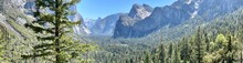 Yosemite Park View