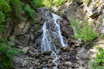 waterfall in the forest