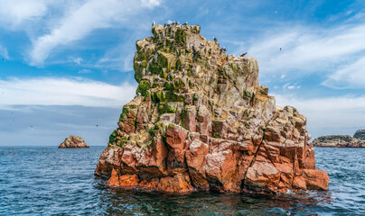 Wall Mural - A small island inhabited by seabirds in the waters of Pisco, Peru