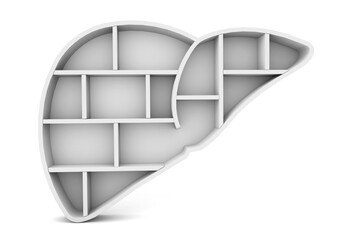 Poster - liver shelf isolated on white background. Organ shelf. 3d rendering