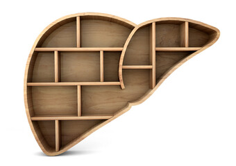 Poster - liver wooden shelf front isolated on white background. Organ wooden shelf. 3d rendering