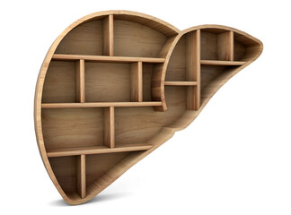 Poster - liver wooden shelf  Side view isolated on white background. Organ wooden shelf. 3d rendering