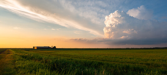 Wall Mural - idyllic image of a distant farm and storm cloud in the dutch countryside during sunset