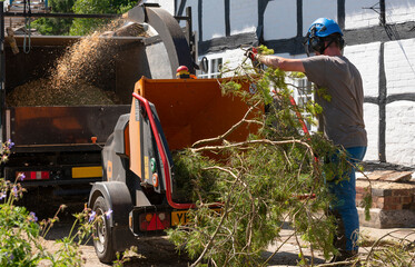 hampshire, england, uk. 2022. man using a large shredding machine to shred leaves and branches from 