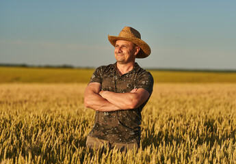 Wall Mural - Farmer at sunset in the wheat field at sunset