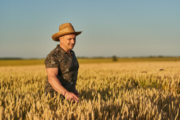 Wall Mural - Farmer at sunset in the wheat field at sunset