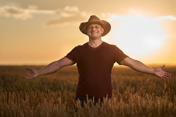 Wall Mural - Farmer at sunset in the wheat field at sunset