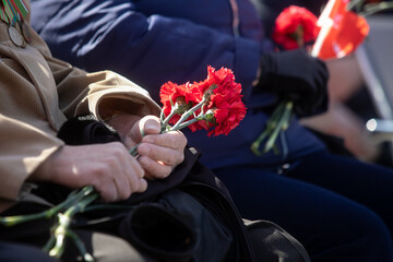 Wall Mural - People hold red carnation flowers in their hands. A sad occasion. Laying flowers at monuments and graves.